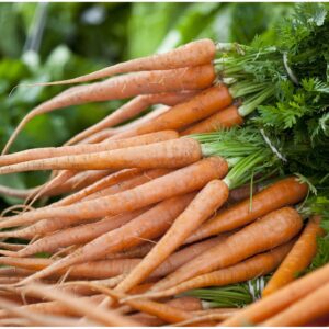 bunches of long, narrow, orange carrots with frilly green leaves