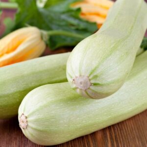 Organic Italian Courgette Bianca Di Trieste