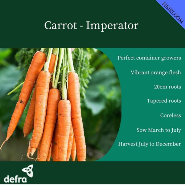 Carrot Imperator - Image 2
