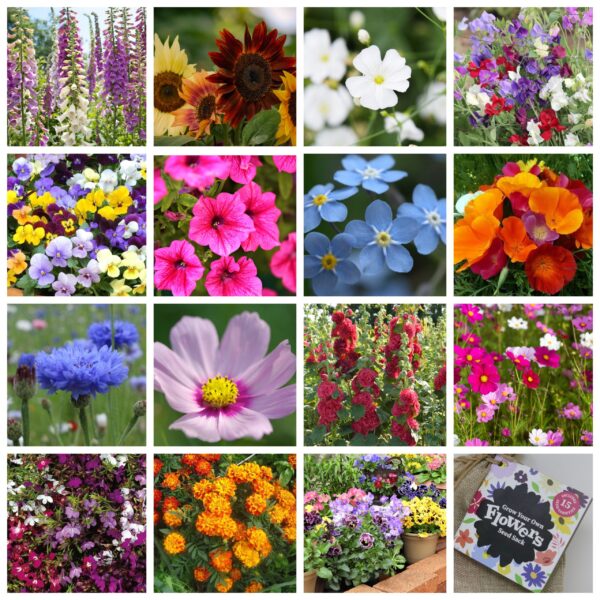 Flowers Gift Bag - Image 2