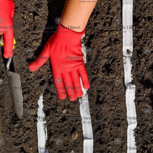 Seed Tape