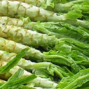 Celtuce Seeds