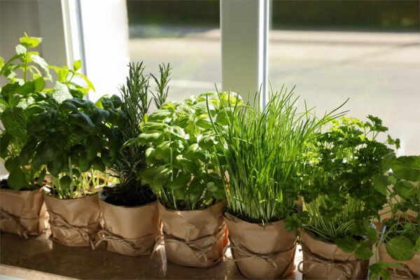 Herbs Gift Bag - Image 3