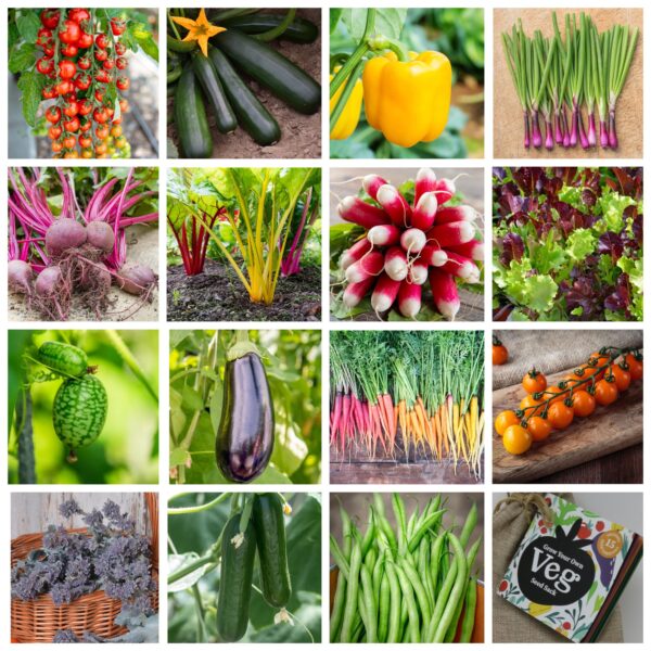 Vegetables Gift Bag - Image 2