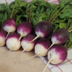 Radish - Diana