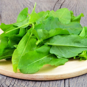 Herb Sorrel Citrus Volare - Rumex Patienta