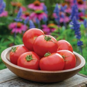 Tomato Crimson Crush F1