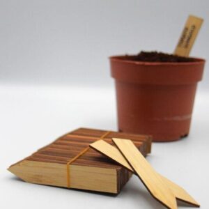Wooden Plant Seed Labels 4 and 6 Inch