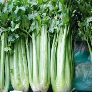 Celery - Organic