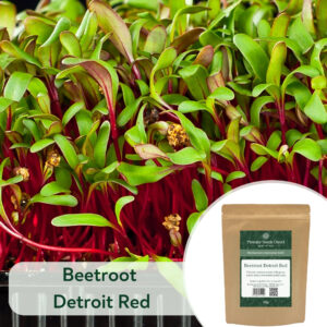 Beetroot Microgreen Seeds, Sprouting Seeds, Micro Seeds