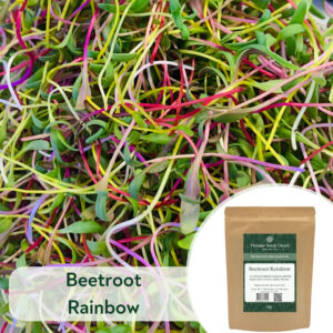 Beetroot Rainbow - Microgreen/Sprouting