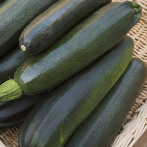 Courgette - Organic