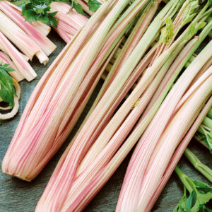 Celery Seeds