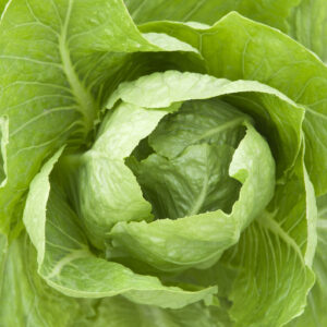 Lettuce Seeds