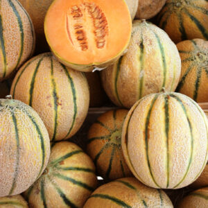 Melon Seeds