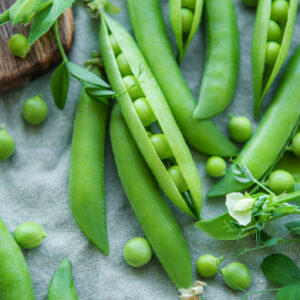 Pea Seeds