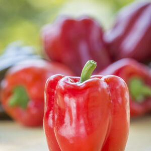 Pepper Sweet Seeds