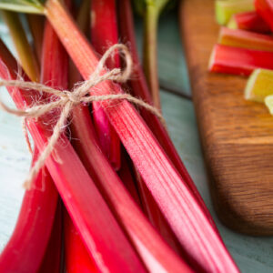 Rhubarb Seeds