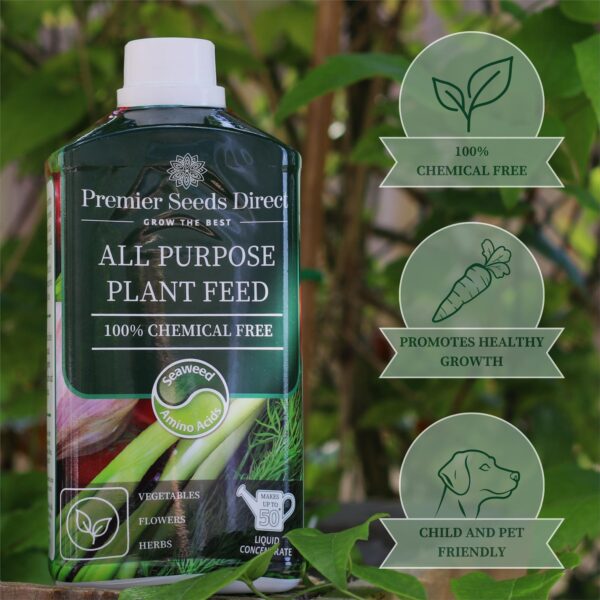 All Purpose Plant Feed - Image 2