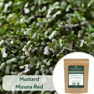Mustard Mizuna Red - Microgreen/Sprouting