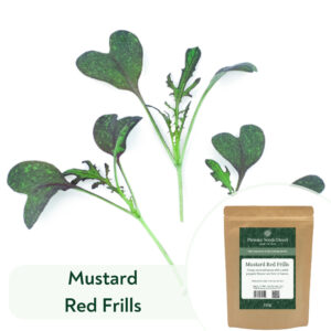 Mustard Red Frills - Microgreen/Sprouting