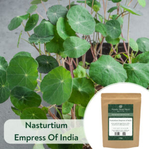Nasturtium Empress of India - Microgreen/Sprouting