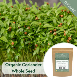 Organic Coriander Whole Seed - Microgreen/Sprouting