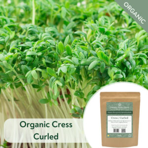 Organic Cress Curled - Microgreen/Sprouting
