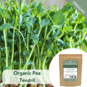 Organic Pea Tendril - Microgreen/Sprouting