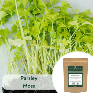 Parsley Moss - Microgreen/Sprouting
