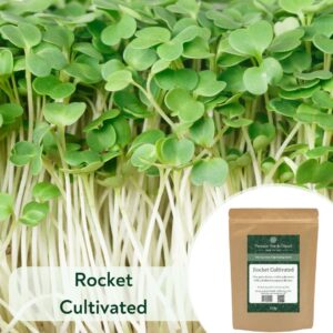 Rocket Cultivated - Microgreen/Sprouting