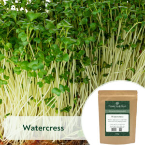 Watercress - Microgreen/Sprouting