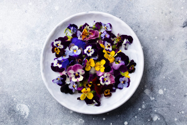 Viola Sorbet Mix - Microgreen/Sprouting