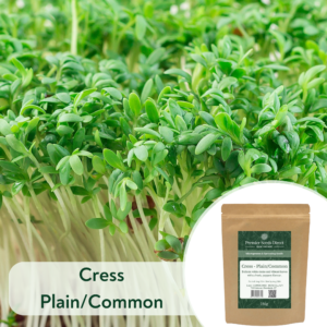 Cress Plain/Common - Microgreen/Sprouting