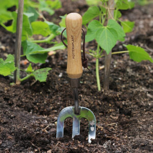 Hand Fork