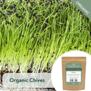 Organic Chives - Microgreen/Sprouting