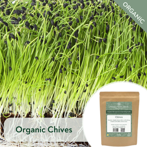 Organic Chives - Microgreen/Sprouting