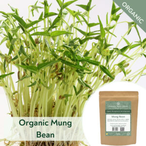 Organic Mung Bean - Microgreen/Sprouting