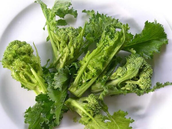 Broccoletto Quarantino Riccio