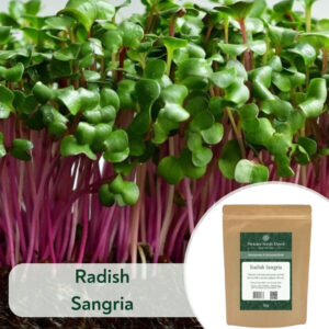 Radish Sangria - Microgreen/Sprouting