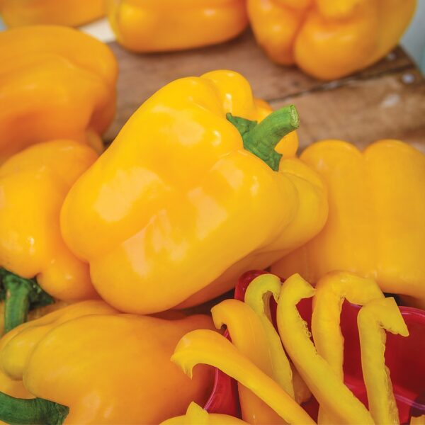 Sweet Pepper - Afterglow - Image 2
