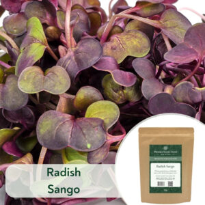 Radish Sango - Microgreen/Sprouting