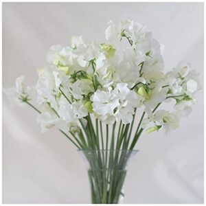 Sweet Pea Parfume White Supreme