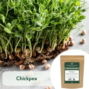 Chickpea - Microgreen/Sprouting