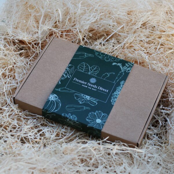 Cut Flower Gift Box - Image 2