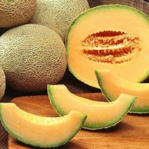 Melon Cantaloupe Hearts of Gold