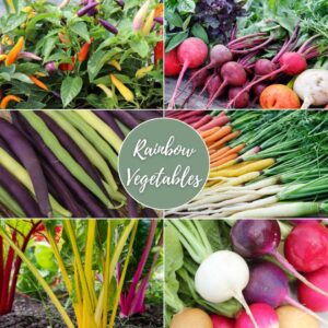 Rainbow Vegetables Gift Box