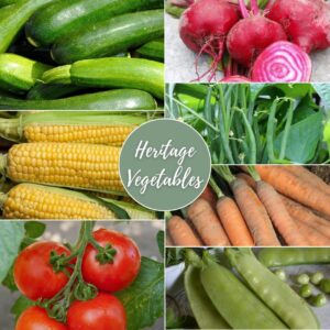 Heritage Vegetables Gift Box