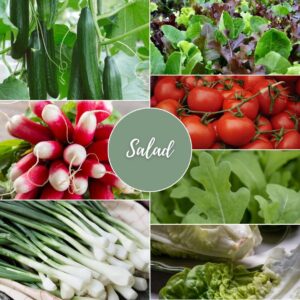 Salad Gift Box