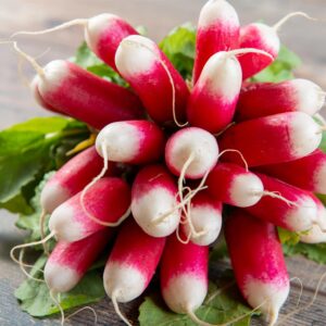 Radish French Breakfast 2